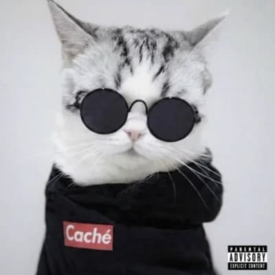 MIAU